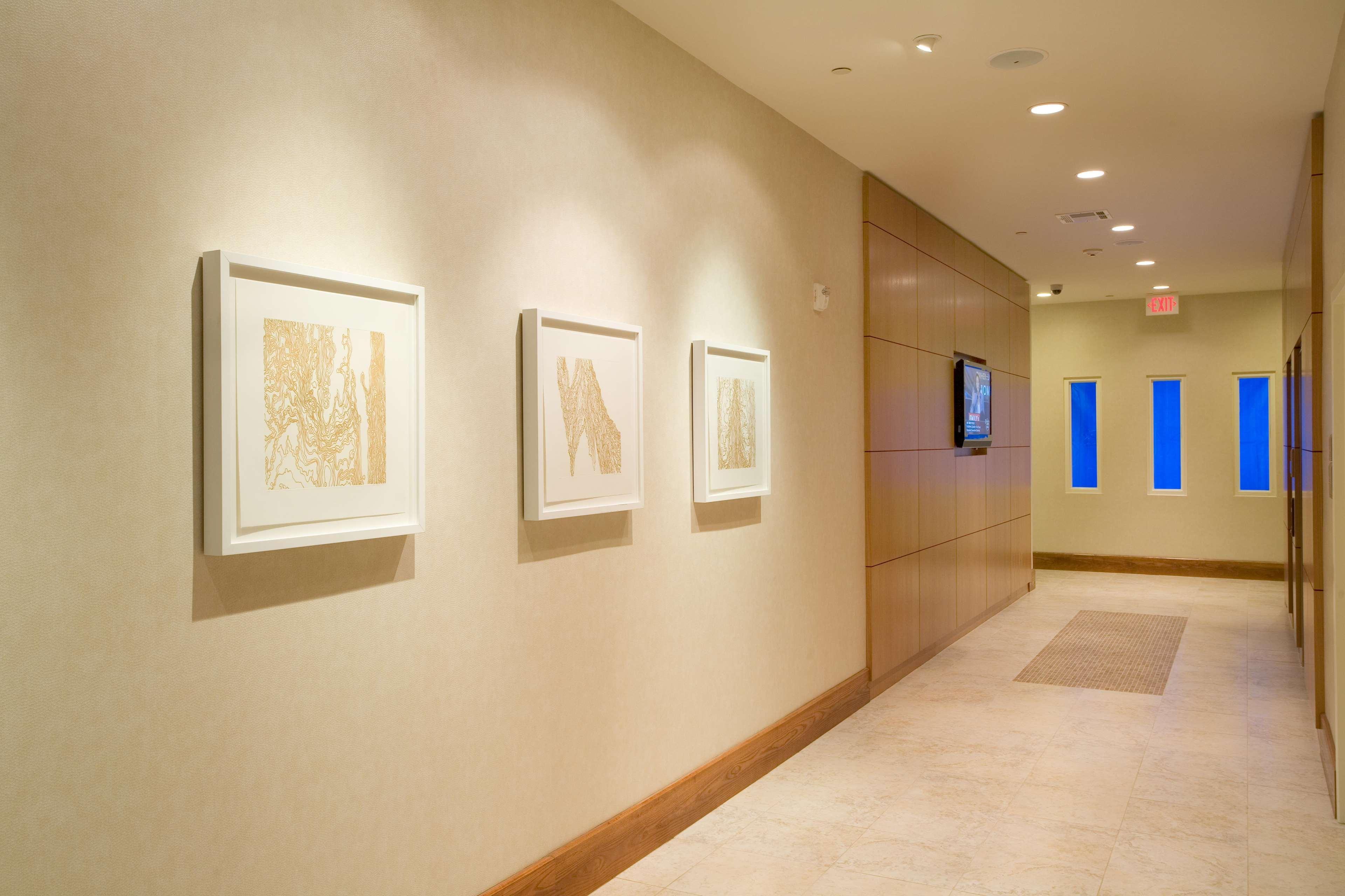 Hilton Garden Inn Dallas Richardson Ngoại thất bức ảnh